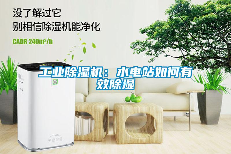 工業(yè)除濕機：水電站如何有效除濕