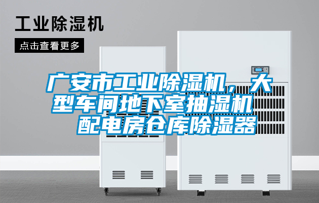 廣安市工業(yè)除濕機，大型車間地下室抽濕機  配電房倉庫除濕器