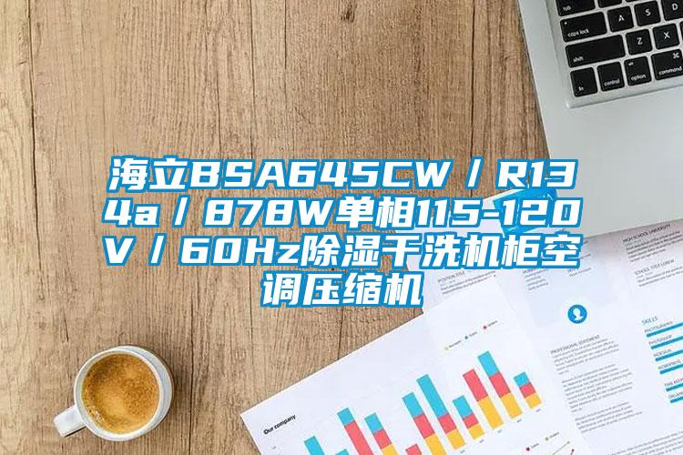 海立BSA645CW／R134a／878W單相115-120V／60Hz除濕干洗機柜空調(diào)壓縮機