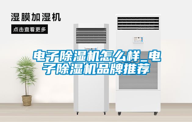 電子除濕機怎么樣_電子除濕機品牌推薦