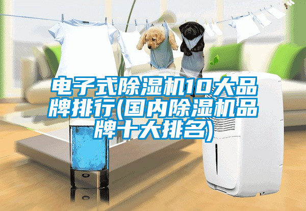 電子式除濕機10大品牌排行(國內(nèi)除濕機品牌十大排名)