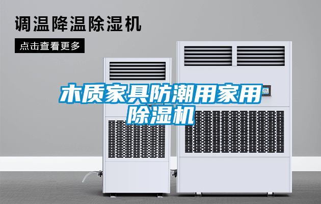 木質(zhì)家具防潮用家用除濕機