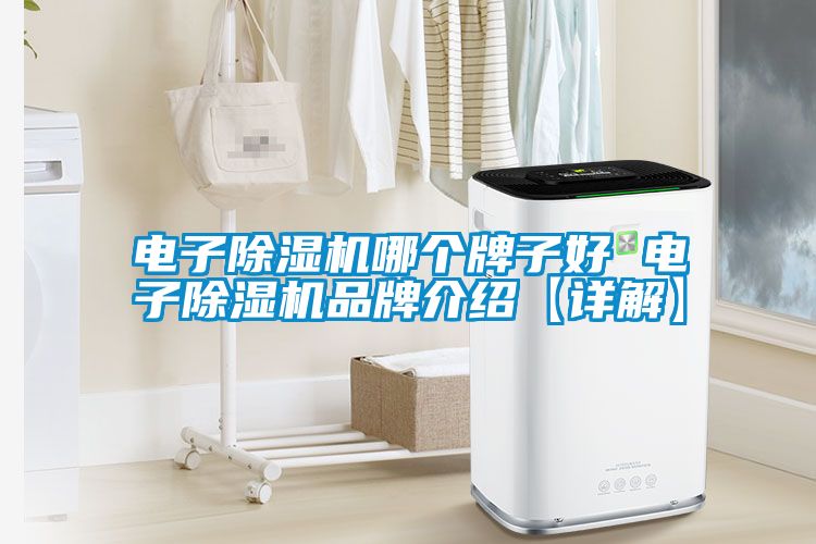 電子除濕機哪個牌子好 電子除濕機品牌介紹【詳解】