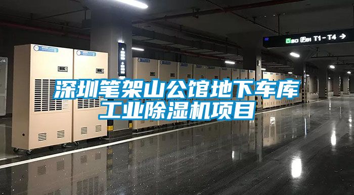 深圳筆架山公館地下車庫工業(yè)除濕機項目