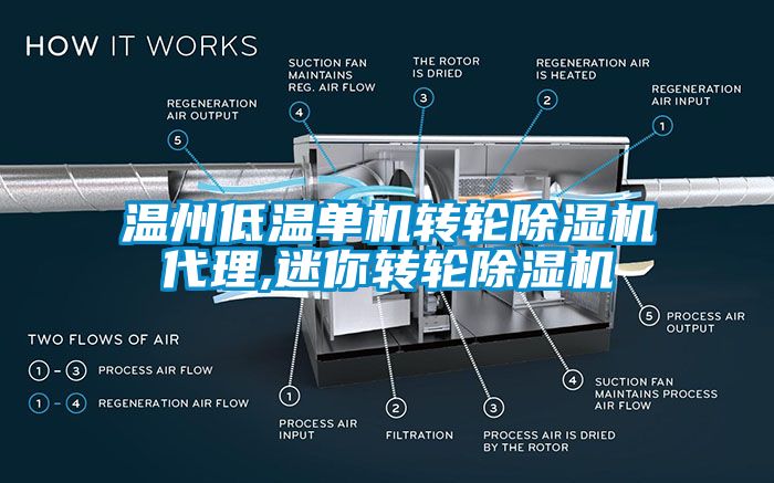 溫州低溫單機轉(zhuǎn)輪除濕機代理,迷你轉(zhuǎn)輪除濕機