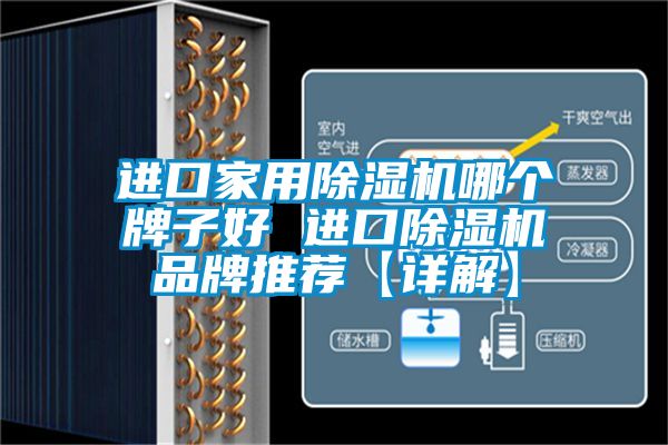 進口家用除濕機哪個牌子好 進口除濕機品牌推薦【詳解】