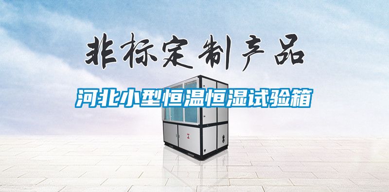 河北小型恒溫恒濕試驗(yàn)箱