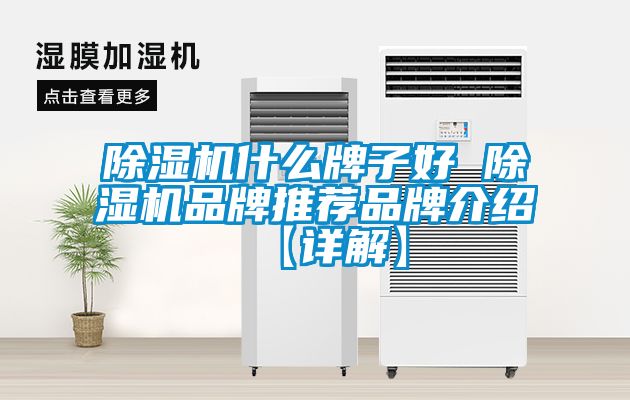 除濕機什么牌子好 除濕機品牌推薦品牌介紹【詳解】