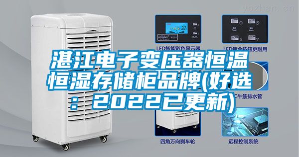 湛江電子變壓器恒溫恒濕存儲(chǔ)柜品牌(好選：2022已更新)