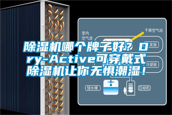 除濕機哪個牌子好？Dry-Active可穿戴式除濕機讓你無懼潮濕！