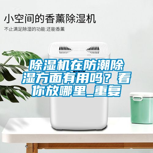 除濕機在防潮除濕方面有用嗎？看你放哪里_重復