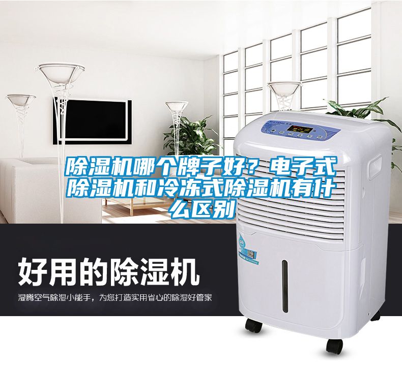 除濕機哪個牌子好？電子式除濕機和冷凍式除濕機有什么區(qū)別