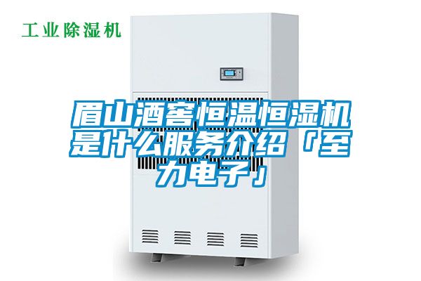 眉山酒窖恒溫恒濕機(jī)是什么服務(wù)介紹「至力電子」