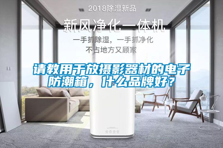 請教用于放攝影器材的電子防潮箱，什么品牌好？