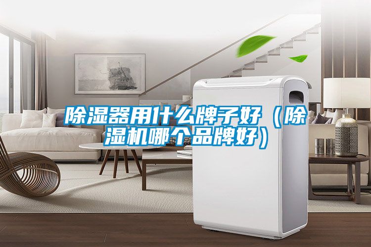 除濕器用什么牌子好（除濕機哪個品牌好）