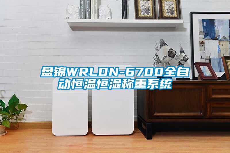 盤錦WRLDN-6700全自動恒溫恒濕稱重系統(tǒng)