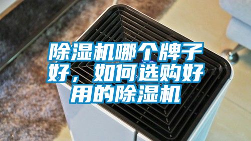 除濕機哪個牌子好，如何選購好用的除濕機