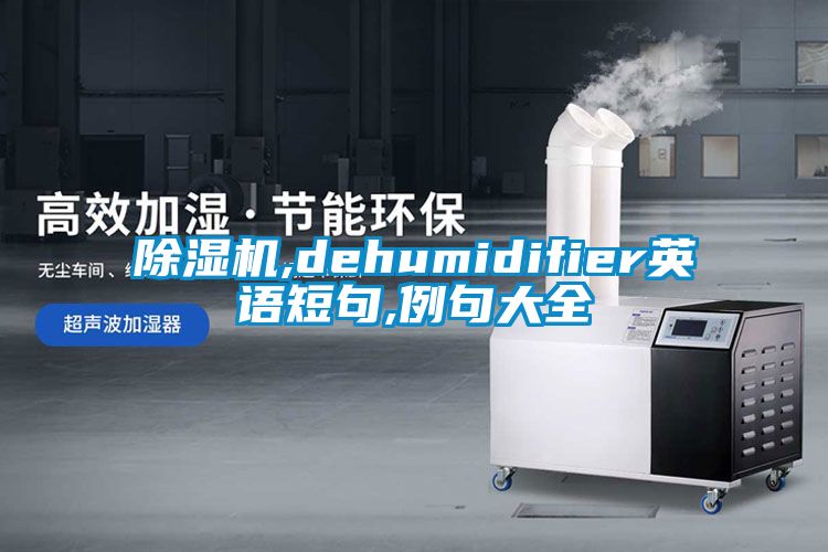 除濕機(jī),dehumidifier英語短句,例句大全