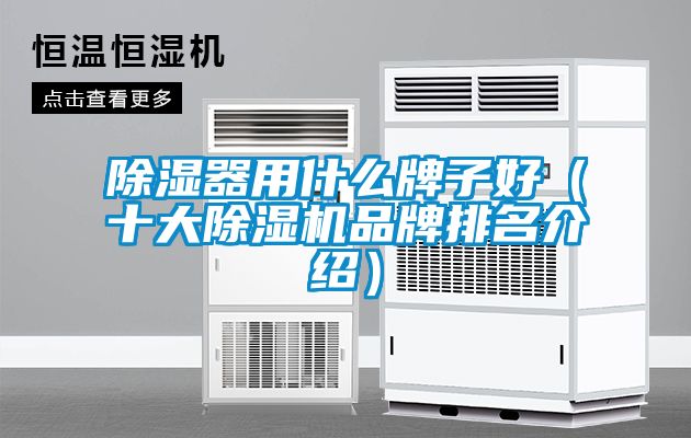 除濕器用什么牌子好（十大除濕機品牌排名介紹）