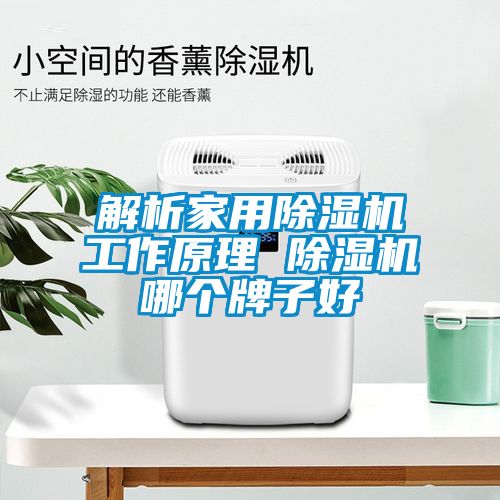 解析家用除濕機工作原理 除濕機哪個牌子好