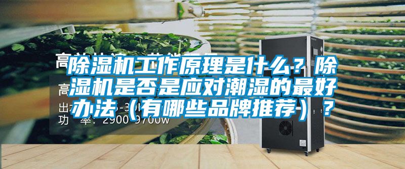 除濕機工作原理是什么？除濕機是否是應(yīng)對潮濕的最好辦法（有哪些品牌推薦）？