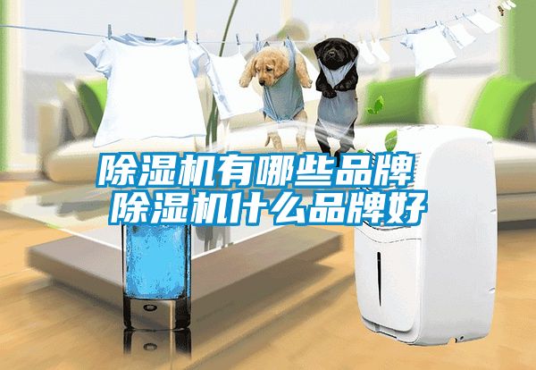 除濕機有哪些品牌 除濕機什么品牌好