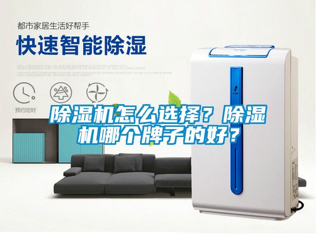 除濕機怎么選擇？除濕機哪個牌子的好？