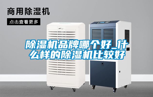 除濕機品牌哪個好_什么樣的除濕機比較好