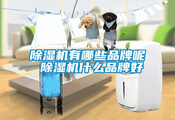 除濕機有哪些品牌呢 除濕機什么品牌好