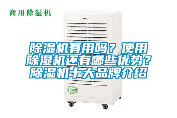 除濕機有用嗎？使用除濕機還有哪些優(yōu)勢？除濕機十大品牌介紹