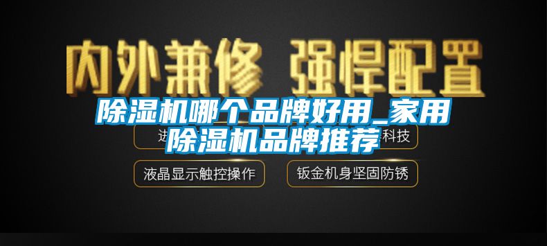 除濕機(jī)哪個(gè)品牌好用_家用除濕機(jī)品牌推薦