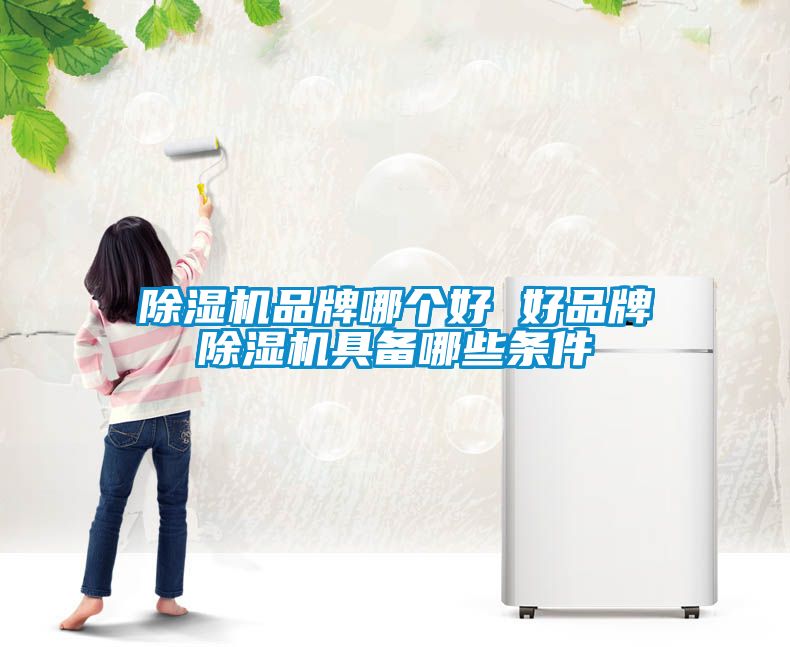 除濕機(jī)品牌哪個(gè)好 好品牌除濕機(jī)具備哪些條件