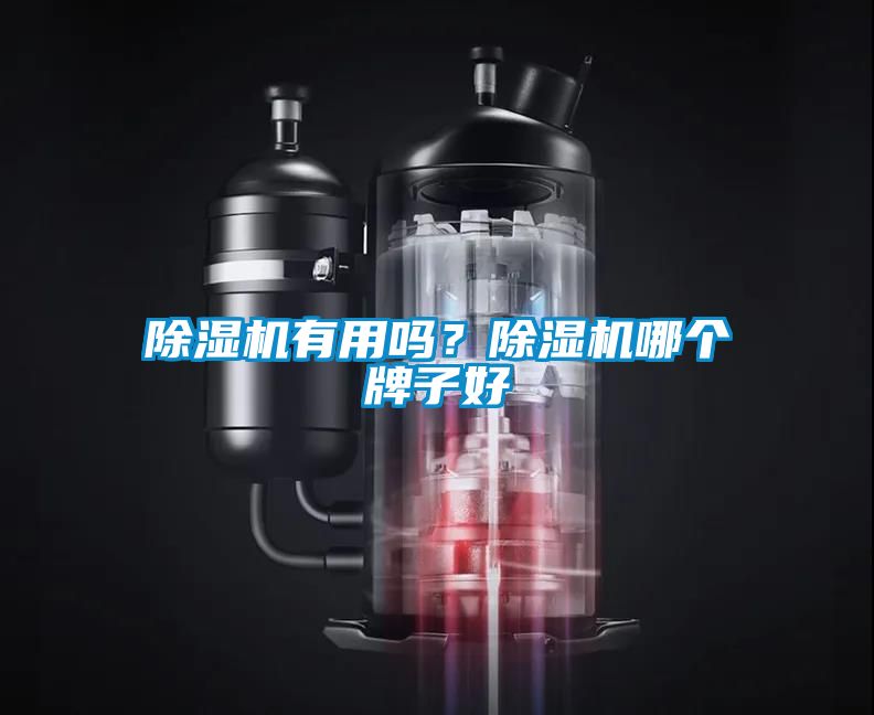 除濕機有用嗎？除濕機哪個牌子好