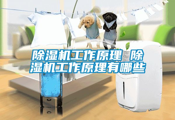 除濕機工作原理 除濕機工作原理有哪些