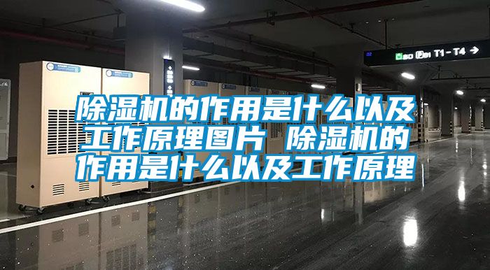 除濕機的作用是什么以及工作原理圖片 除濕機的作用是什么以及工作原理