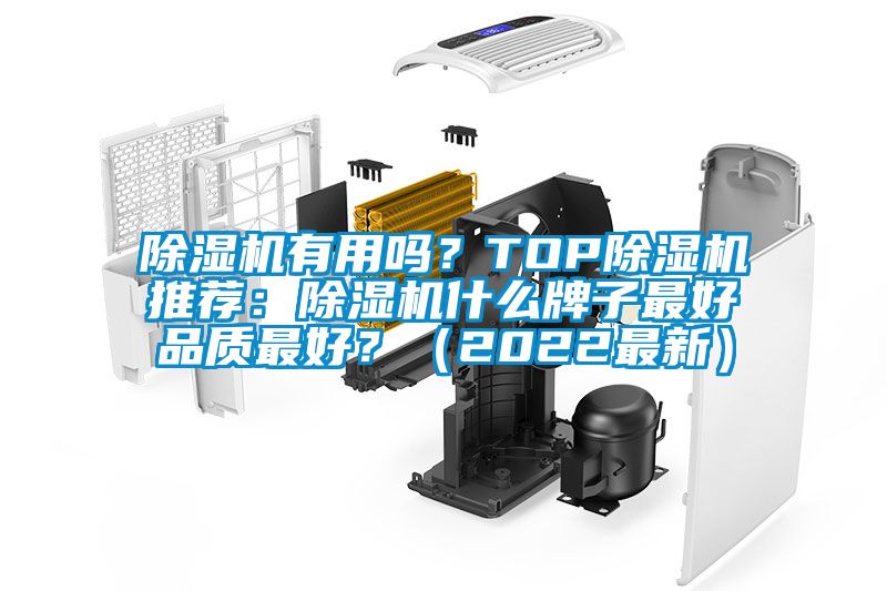 除濕機有用嗎？TOP除濕機推薦：除濕機什么牌子最好品質最好？（2022最新）