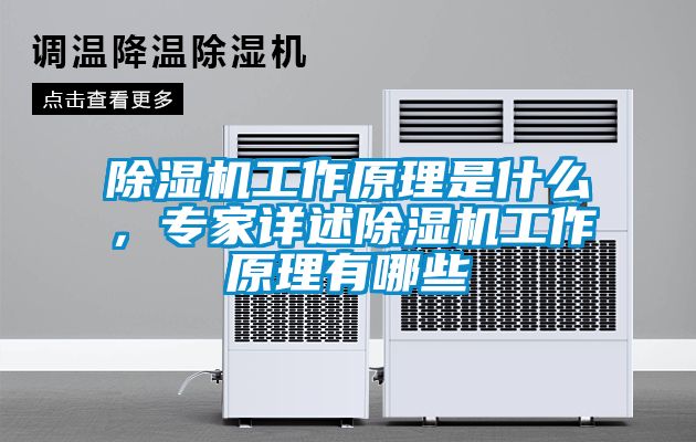 除濕機工作原理是什么，專家詳述除濕機工作原理有哪些