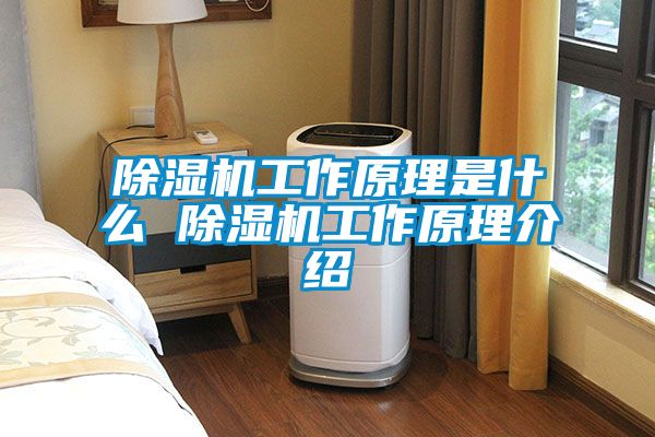 除濕機工作原理是什么 除濕機工作原理介紹