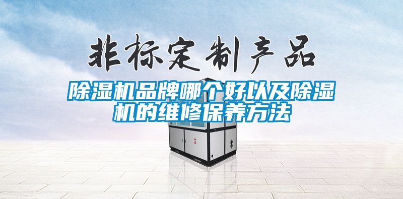 除濕機品牌哪個好以及除濕機的維修保養(yǎng)方法