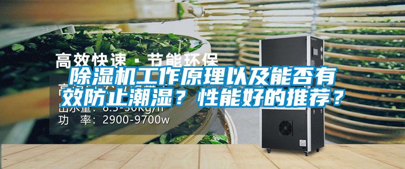 除濕機工作原理以及能否有效防止潮濕？性能好的推薦？