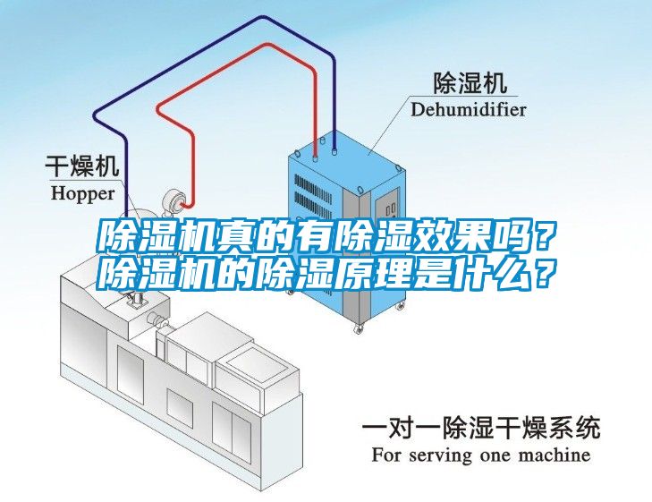 除濕機(jī)真的有除濕效果嗎？除濕機(jī)的除濕原理是什么？