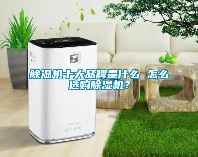 除濕機(jī)十大品牌是什么 怎么選購除濕機(jī)？