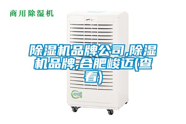 除濕機(jī)品牌公司,除濕機(jī)品牌,合肥峻邁(查看)