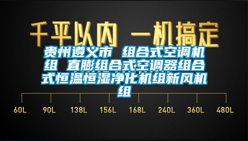 貴州遵義市 組合式空調(diào)機(jī)組 直膨組合式空調(diào)器組合式恒溫恒濕凈化機(jī)組新風(fēng)機(jī)組