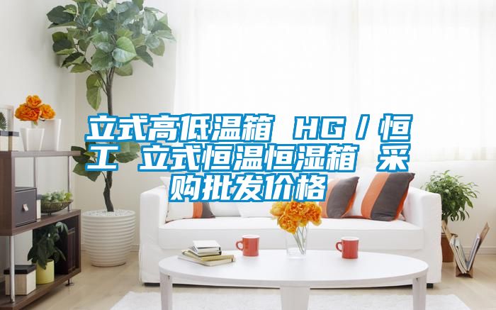 立式高低溫箱 HG／恒工 立式恒溫恒濕箱 采購批發(fā)價(jià)格