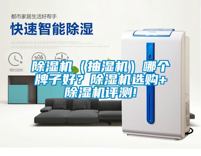 除濕機（抽濕機）哪個牌子好？除濕機選購+除濕機評測!