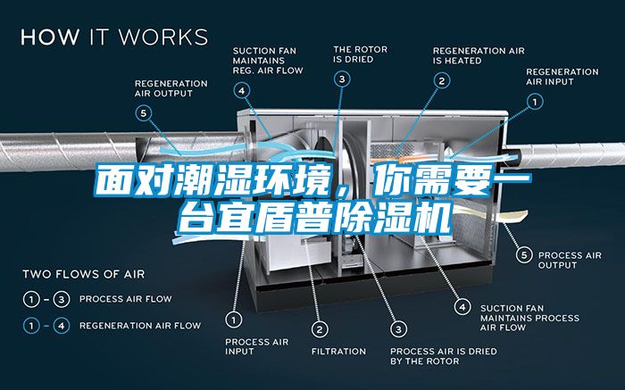 面對潮濕環(huán)境，你需要一臺宜盾普除濕機