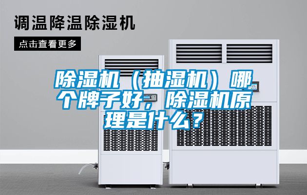 除濕機（抽濕機）哪個牌子好，除濕機原理是什么？