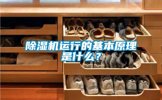 除濕機運行的基本原理是什么？