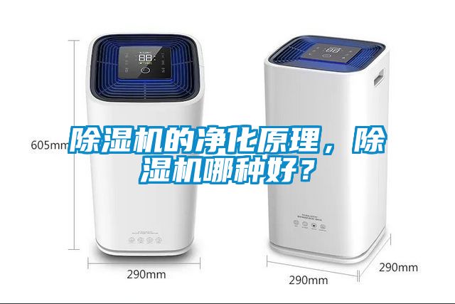 除濕機的凈化原理，除濕機哪種好？